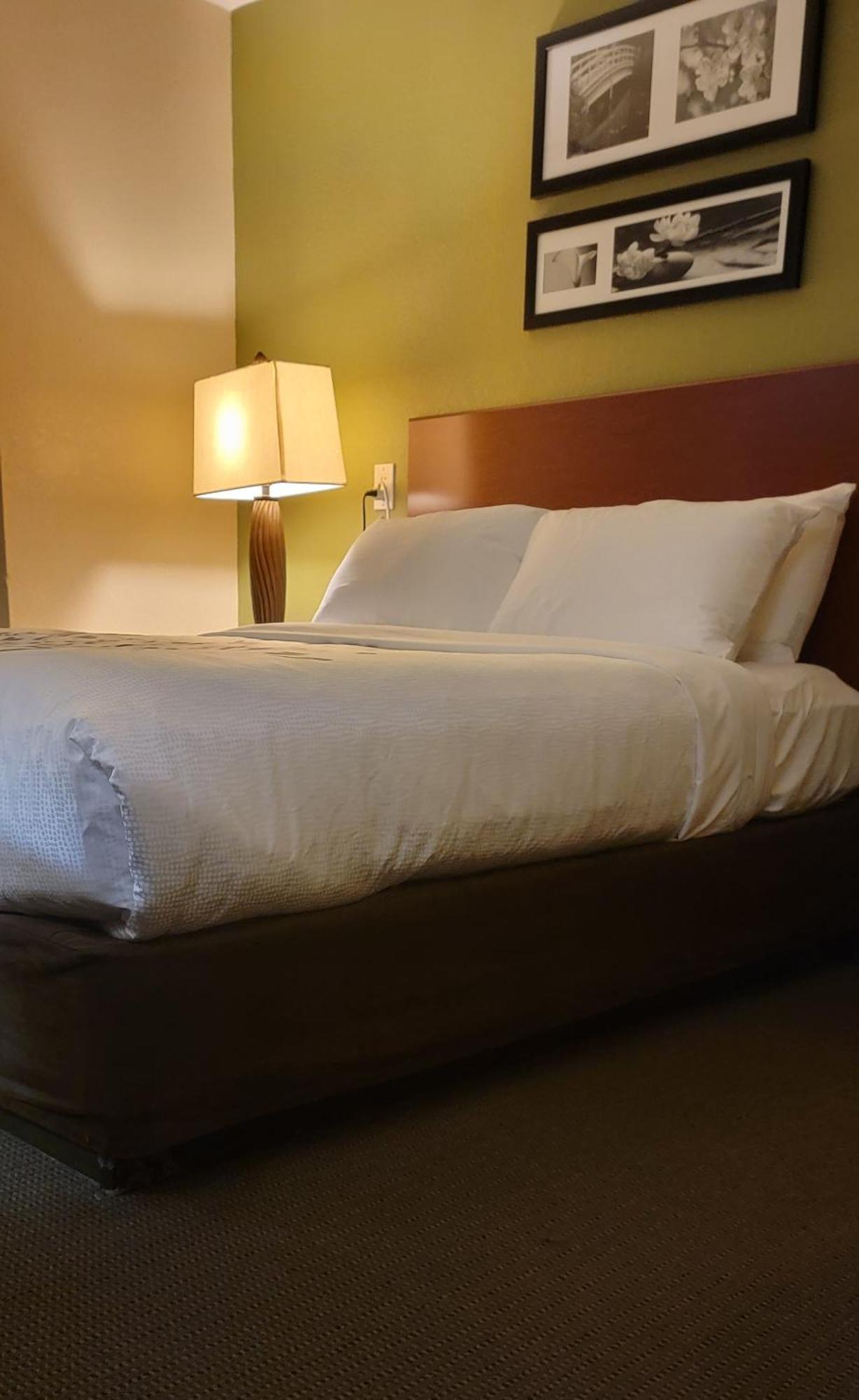 Sleep Inn Near Ft Jackson Columbia Eksteriør billede